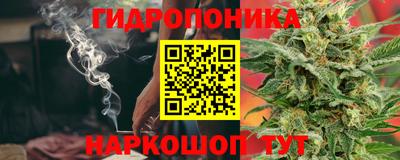 дживик Новодвинск