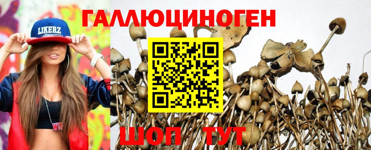 Псилоцибиновые грибы прущие грибы  Псилоцибиновые грибы мицелий  Вход с VPN  Советская Гавань 